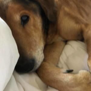 Meet your Posher, Brenda